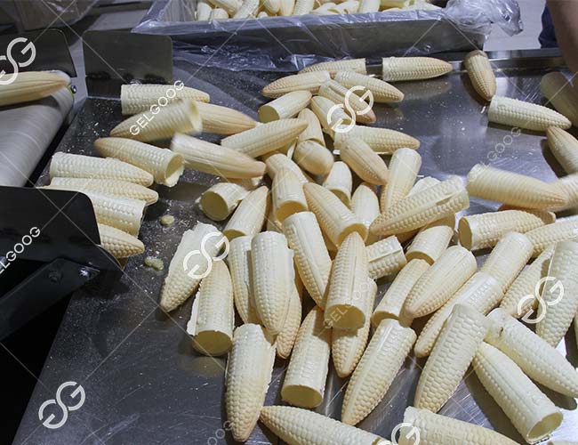 Ice Cream Cone Production Process