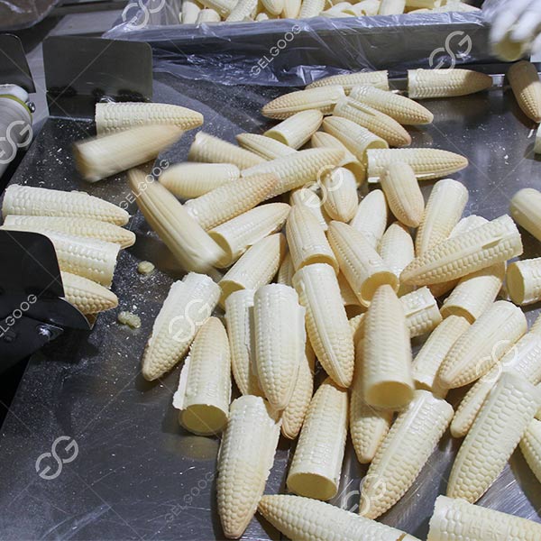 How Wafer Cones Are Made